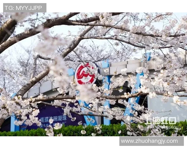 大板樱花与横宾水手的激烈对决展现足球魅力与团队精神的完美结合 大板樱花与横宾水手的激烈对决展现足球魅力与团队精神的完美结合