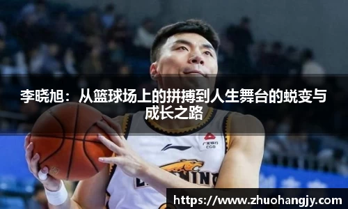 豪门国际新版本